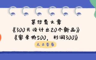 某付费文章：《300元设计出20个新品》+《客单价500，利润300》
