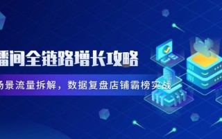直播间全链路增长攻略，爆品场景流量拆解，数据复盘店铺霸榜实战