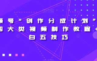 视频号“创作分成计划”2.0四大类视频制作教程+小白五技巧【揭秘】