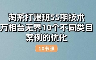 淘系打爆班55期技术：万相台无界10个不同类目案例的优化(10节)