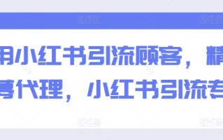 巧用小红书引流顾客，精准招募代理，小红书引流专辑