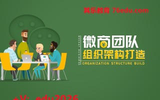 微商团队组织架构打造 mp4高清无水印视频教程网盘免费下载