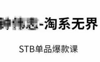 淘系无界STB单品爆款课(2024)，付费带动免费的核心逻辑，万相台无界关键词推广/精准人群的核心