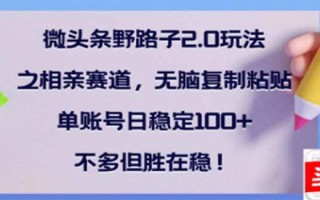 微头条野路子2.0玩法之相亲赛道，无脑搬砖复制粘贴，单账号日稳定300+…