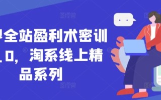 无界全站盈利术密训22.0，淘系线上精品系列