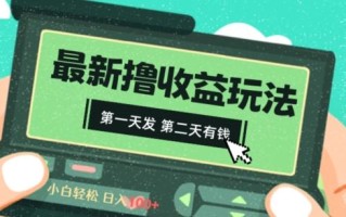 2024最新撸视频收益玩法，第一天发，第二天就有钱