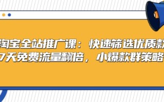 淘宝全站推广课：快速筛选优质款，7天免费流量翻倍，小爆款群策略