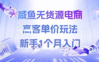 咸鱼无货源电商，高客单价玩法，新手1个月入门