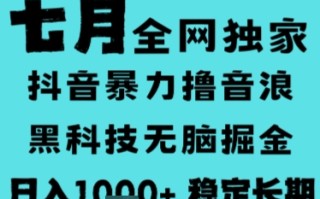 7月最新风口抖音无人直播撸音浪，长期稳定，非短期，全自动运行，低门槛无脑，日入1k+【揭秘】