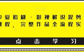 东少爱追剧·影视解说混剪搬运课程，完整作品全流程实操