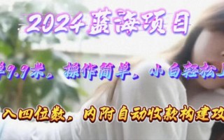 年轻群体的蓝海市场，1单9.9元，操作简单，小白轻松上手，日入四位数
