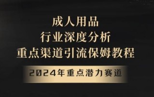 2024年重点潜力赛道，成人用品行业深度分析，重点渠道引流保姆教程【揭秘】
