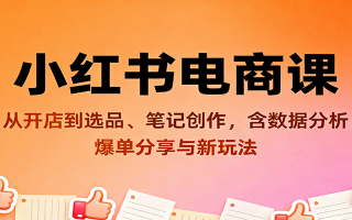 小红书电商课：从开店到选品、笔记创作，含数据分析，爆单分享与新玩法