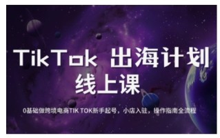 TikTok跨境电商新手起号与运营全攻略，0基础做跨境电商TIKTOK新手起号，小店入驻，操作指南全流程