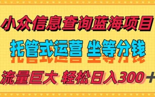 稳定日入300＋，小众信息查询蓝海项目，全程懒人式托管，解放你的时间
