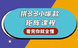 拼多多爆款矩阵课程：教你测出店铺爆款，优化销量，提升GMV，打造爆款群