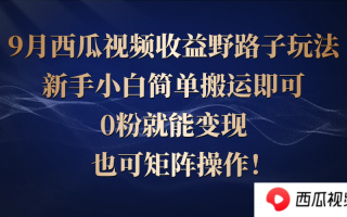 西瓜视频收益野路子玩法，新手小白简单搬运即可，0粉就能变现，也可矩…
