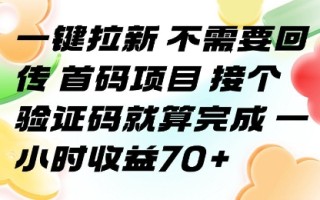 一键拉新 不需要回传 首码项目 接个验证码就算完成 一小时收益70+【揭秘】