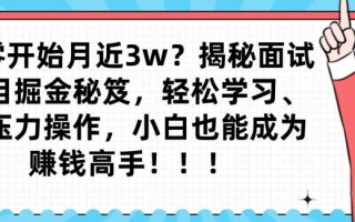 从零开始月近3w？揭秘面试项目掘金秘笈，轻松学习、零压力操作，小白也能成为赚钱高手
