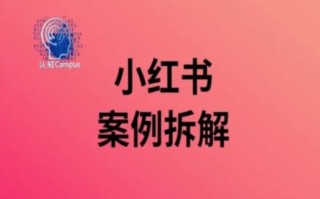 小红书案例拆解，深度解读小红书40万粉