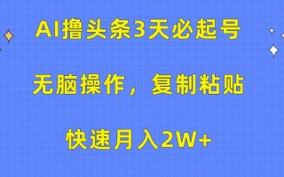 (10043期)AI撸头条3天必起号，无脑操作3分钟1条，复制粘贴快速月入2W+