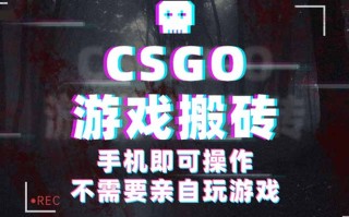CSGO游戏挂机捡漏，单日扫货500+，年底小高峰上车可吃肉，手机即可操作…