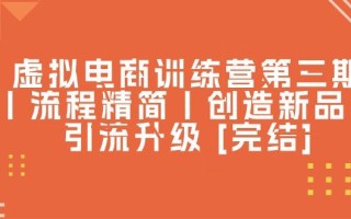 虚拟电商训练营第三期丨流程精简丨创造新品丨引流升级 [完结]