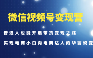 微信视频号变现营-普通人也能开启带货变现之路，实现电商小白向电商达人的华丽蜕变