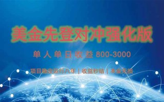 美金先登计划对冲强化版，2025年黑马中最暴力收益日收益1k-4k(可放大…