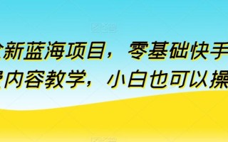 全新蓝海项目，零基础快手付费内容教学，小白也可以操作【揭秘】