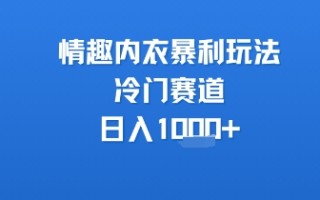 情趣内衣暴利玩法，冷门赛道，日入1k+