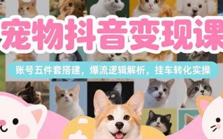 宠物抖音变现课，账号五件套搭建，爆流逻辑解析，挂车转化实操