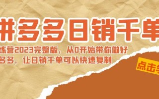 拼多多日销千单训练营2023完整版，从0开始带你做好拼多多，让日销千单可…