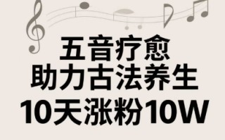 古法五音养生教程，五音疗愈的视频的制作方法，2-4小时就能学会，作者10天涨粉10W