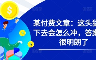某付费文章：这头猛牛接下去会怎么冲，答案已经很明朗了 !