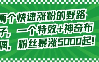 两个快速涨粉的野路子，一个特效+神奇布偶，粉丝暴涨5000起【揭秘】