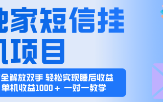 2025全新电脑挂机项目 操作简单，单机当天收益1000+，收益无上限，可…