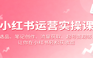 小红书运营实操课：选品、笔记创作、流量获取、起号变现等，让你在小红书轻松获收益