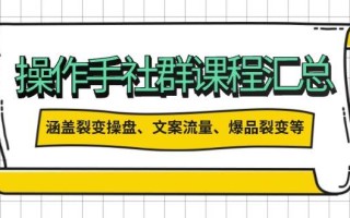 操盘手合伙人课程汇总：包含裂变操盘、文案流量、爆品裂变等多方面的内容