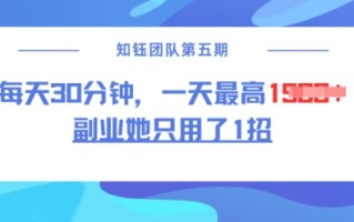 副业她只用了1招，每天30分钟，无脑二创，一天最高1.5k