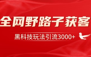 电商引流获客野路子全平台暴力截流获客日引500+