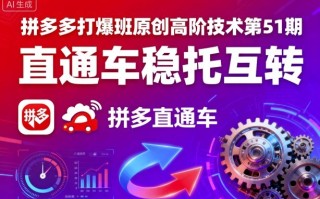 拼多多打爆班原创高阶技术第51期，直通车稳托互转