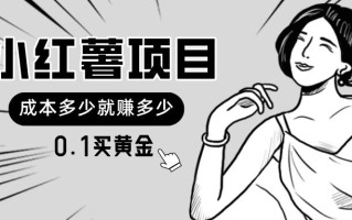 小红薯暴力项目，0.1买黄金。操作简单，日入无上限，可无限扩大。