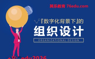 数字化背景下的组织设计（3集） mp4高清无水印视频教程网盘免费下载