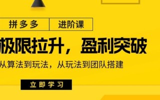 拼多多·进阶课：极限拉升/盈利突破：从算法到玩法 从玩法到团队搭建-18节