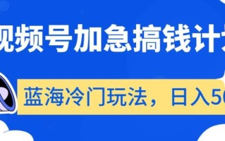 视频号加急搞钱计划，蓝海冷门玩法，日入500+【揭秘】