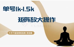 十万个富翁修炼宝典15.单号1k-1.5k，矩阵放大操作