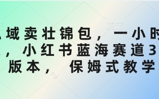 私域卖壮锦包，一小时3张，小红书蓝海赛道3.0版本， 保姆式教学