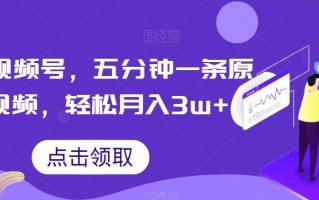 抖音视频号，五分钟一条原创视频，轻松月入3w+【独家秘诀，传授赚钱方法】【揭秘】