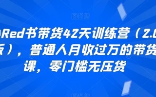 小Red书带货42天训练营(2.0版)，普通人月收过万的带货课，零门槛无压货